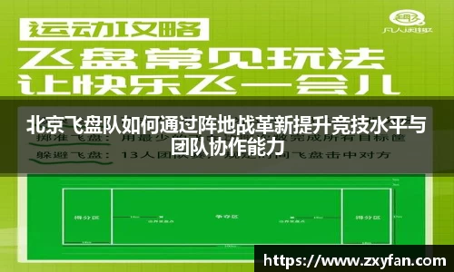 北京飞盘队如何通过阵地战革新提升竞技水平与团队协作能力
